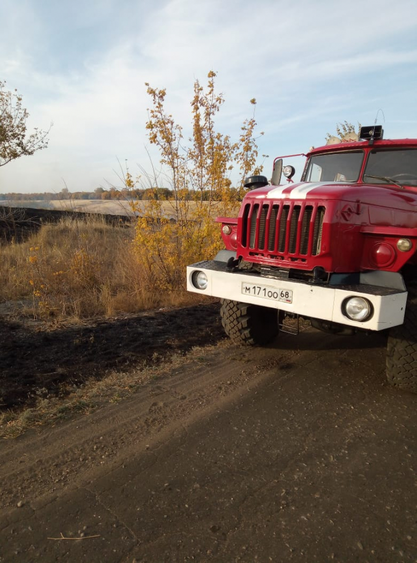 В Мучкапском районе поймали с поличным поджигателя травы