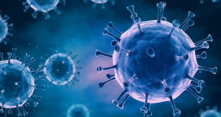 В Тамбовской области за сутки коронавирусом заболело 87 человек
