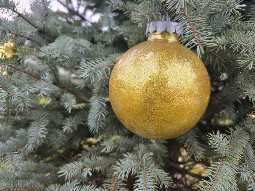 В Тамбове собирают главную ёлку из 200 сосен 