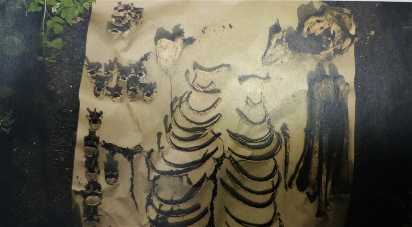 В Тамбове во дворе частного дома обнаружен человеческий скелет