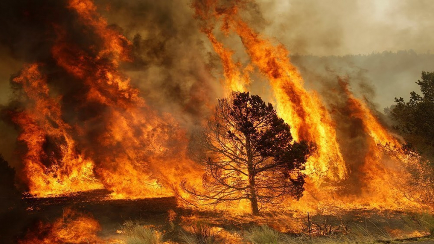 Тамбовчане увидят крупнейшие пожары