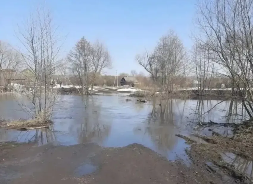 Из-за подъёма воды в Кашме временно закрыли мост у Волхонщины  