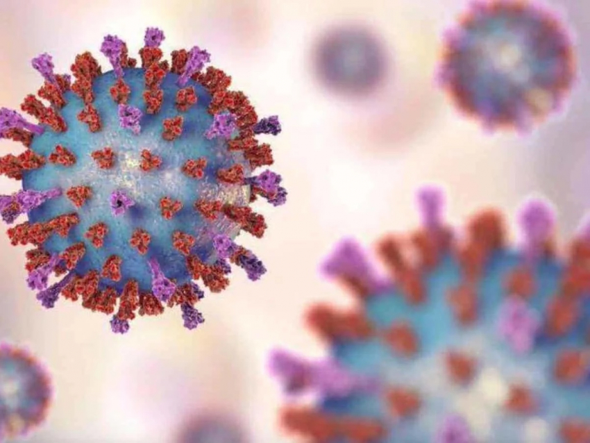 Более 20 тысяч тамбовчан заболели коронавирусом