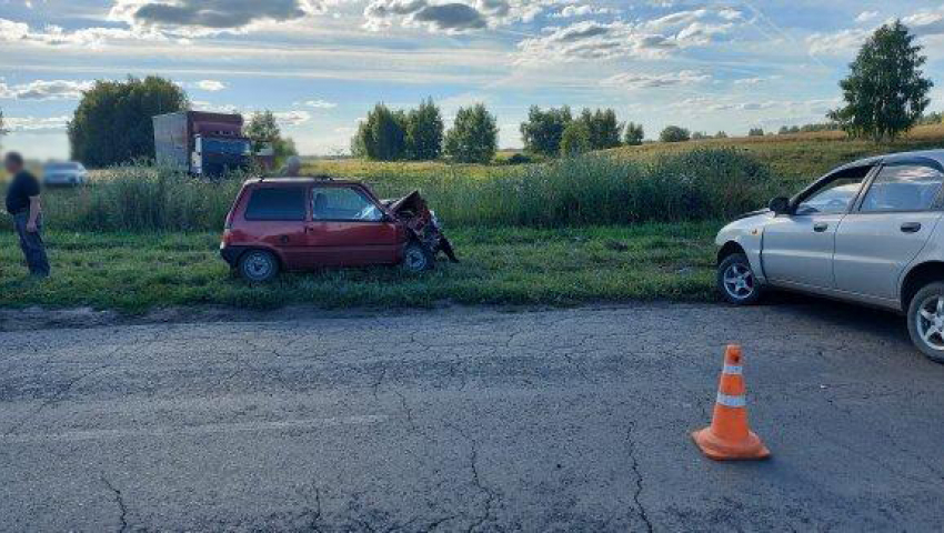 В Мичуринском районе “Ока” насмерть сбила велосипедиста