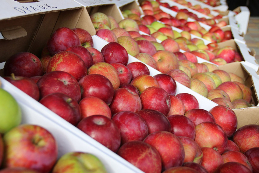 Мичуринские яблоки вошли в 10-ку лидеров конкурса “Вкусы России”