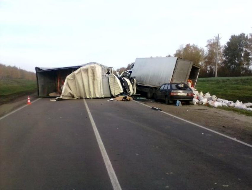 Два грузовика столкнулись на трассе Р-22 в Жердевском районе: есть погибшие 