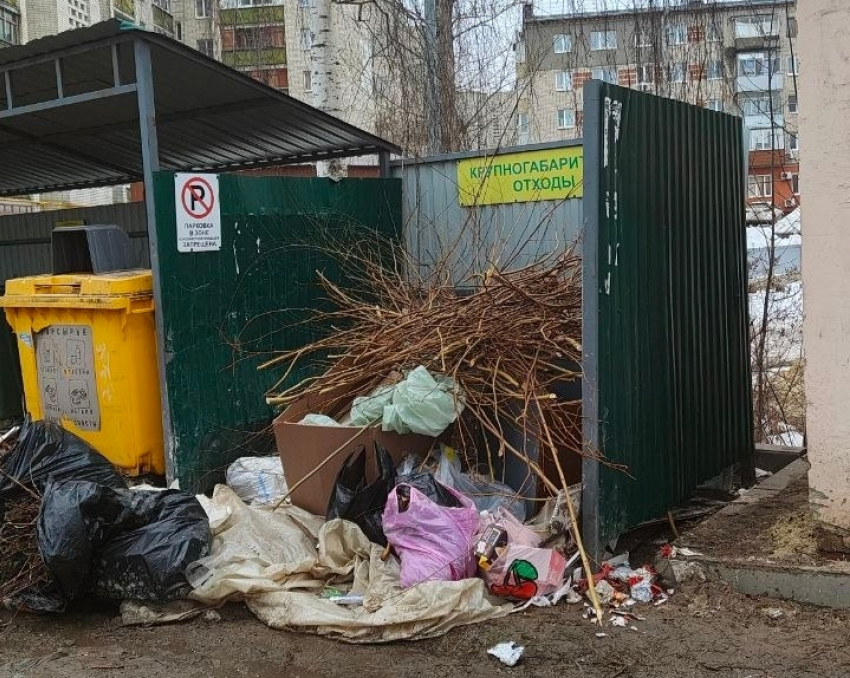 Тамбовчанам напоминают о правилах и ответственности при утилизации растительных отходов 