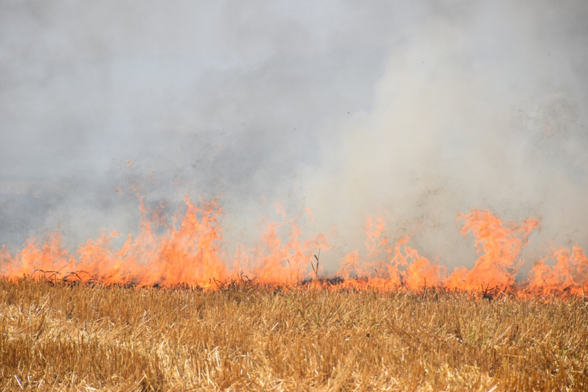 Виновных в пожаре на полях Ржаксинского района накажут
