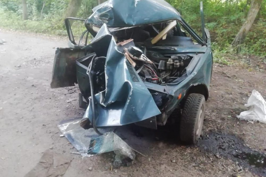 17-летний водитель врезался в дерево возле турбазы под Мичуринском