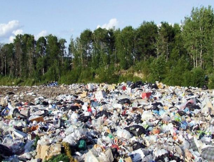 Мичуринский мусор повезут в Дмитриевку и Тамбов