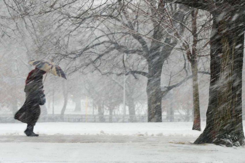 МЧС предупреждает тамбовчан о неблагоприятных погодных условиях 2 февраля