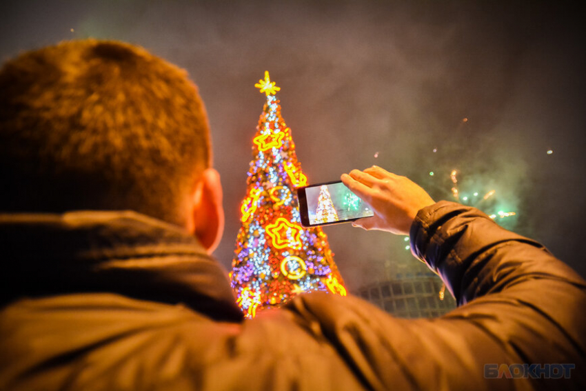 Шестнадцатиметровую новогоднюю ель со светодинамическими эффектами установят у «Кристалла» 