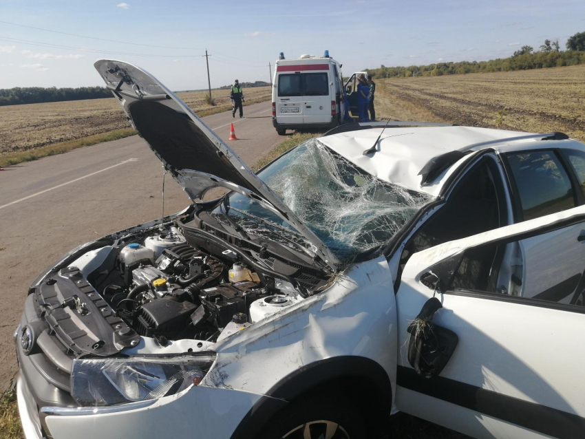 В ДТП в Тамбовском районе погиб 71-летний пенсионер