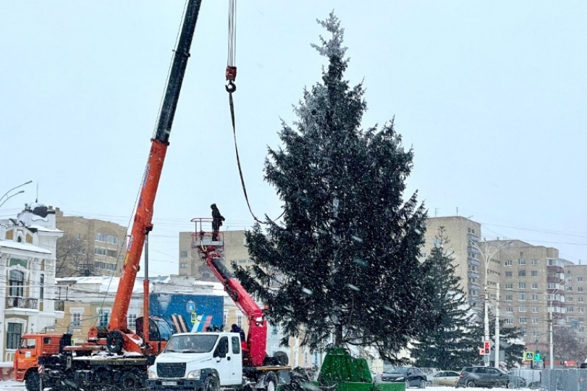 Моршанская ель вновь украсила главную площадь Тамбова к Новому году