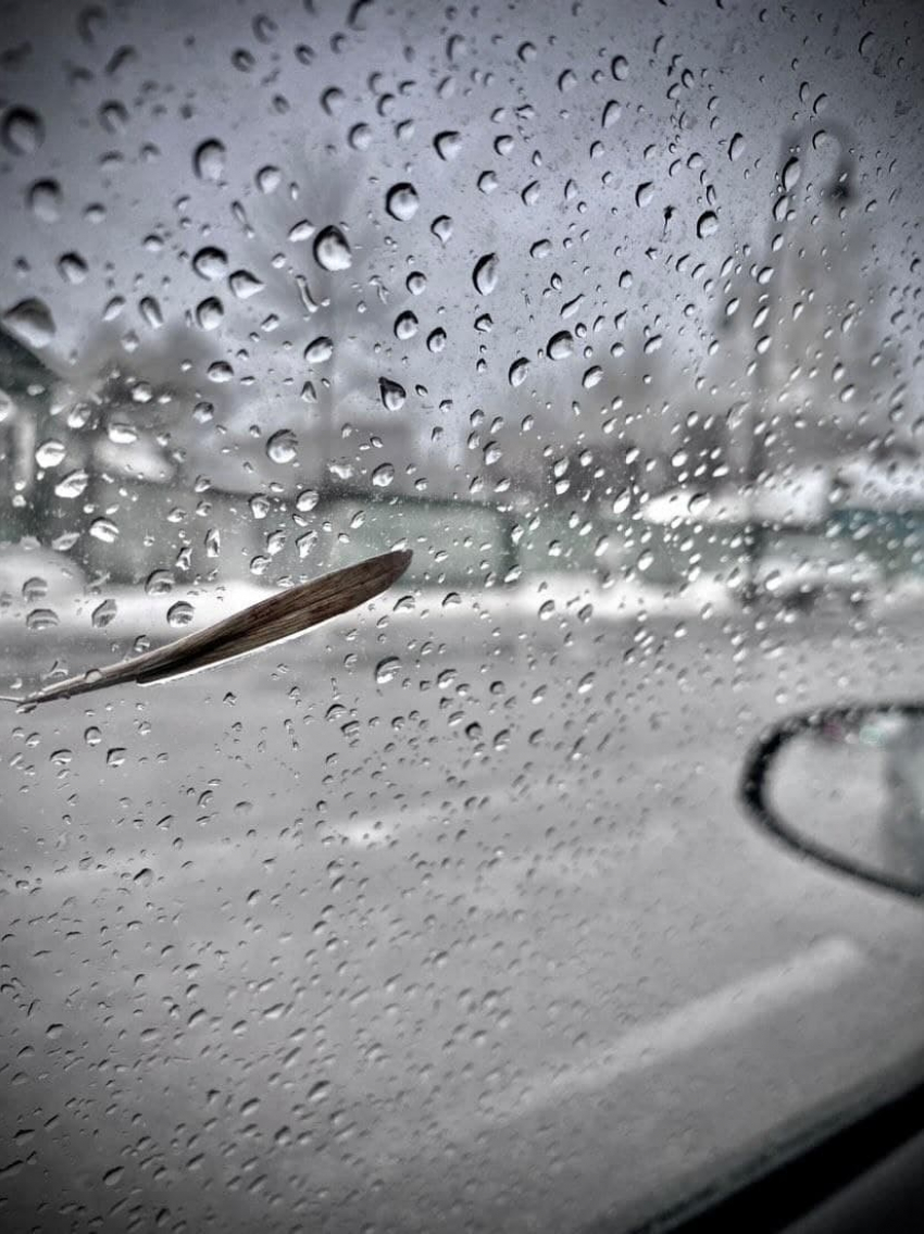 Погода на выходные в Тамбове: тепло и ветрено 