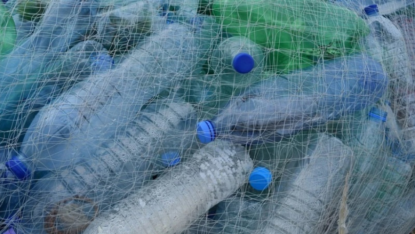 «Чистые игры»: в Тамбове на Бокинских прудах состоится экологический квест