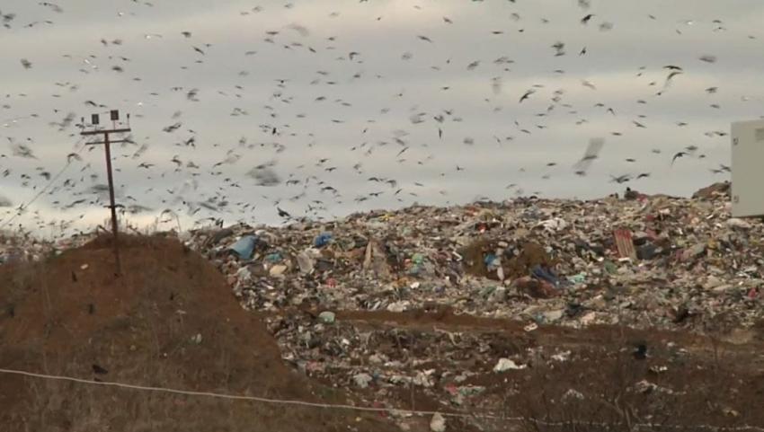 Тамбовчане устали жить под боком огромной мусорной свалки «КомЭк» и требуют её закрытия
