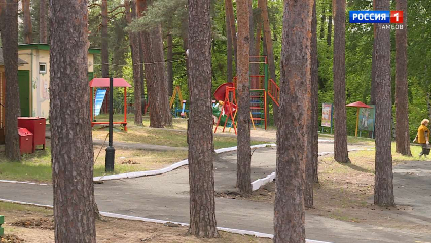 В пяти детских загородных лагерях Тамбовской области началась первая смена 