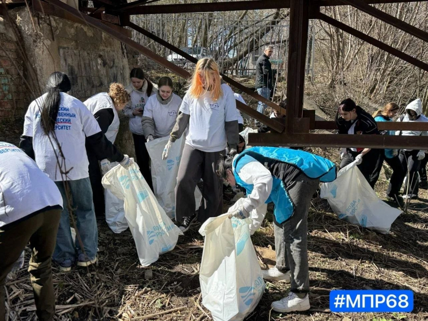 На Студенце в Тамбове собрали больше 6 кубометров мусора