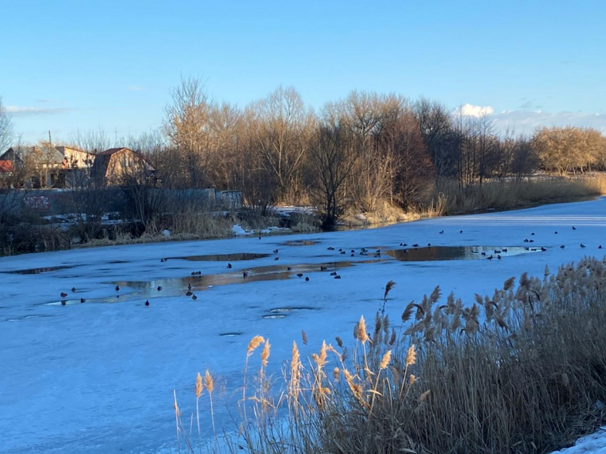 Уровень Цны в Тамбове поднялся на 36 сантиметров