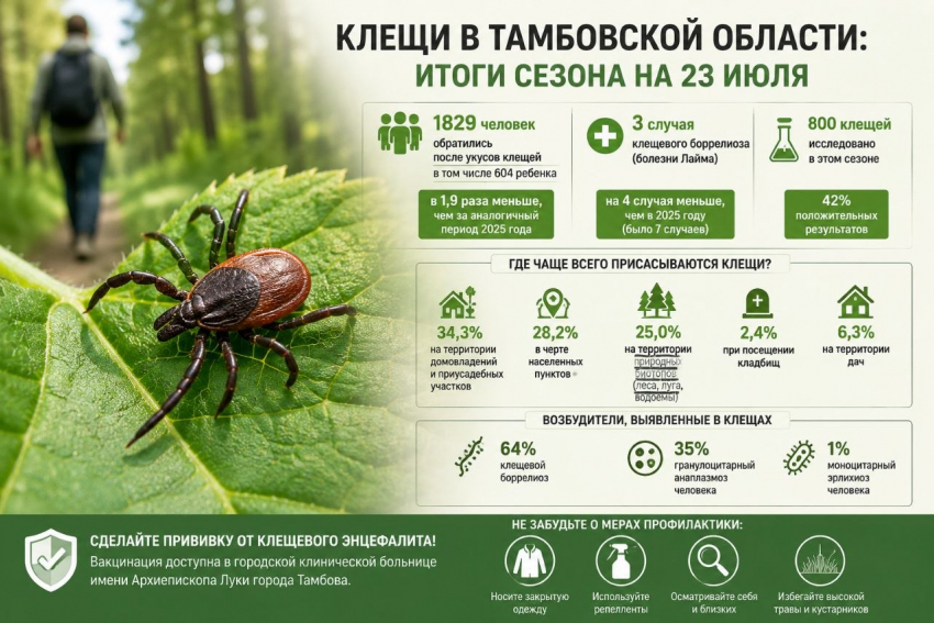 С начала сезона клещи покусали почти две тысячи жителей Тамбовской области