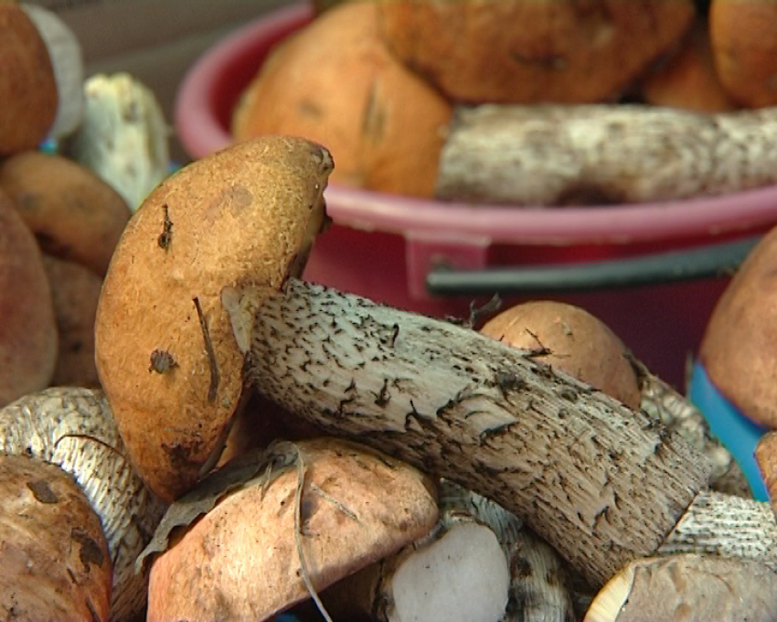 Два годовалых ребенка отравились грибами в Тамбовской области