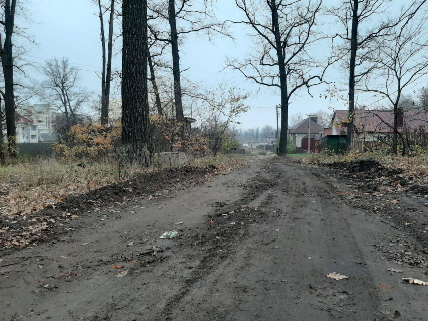 Жители одной из улиц Котовска забыли, как выглядит заасфальтированная дорога