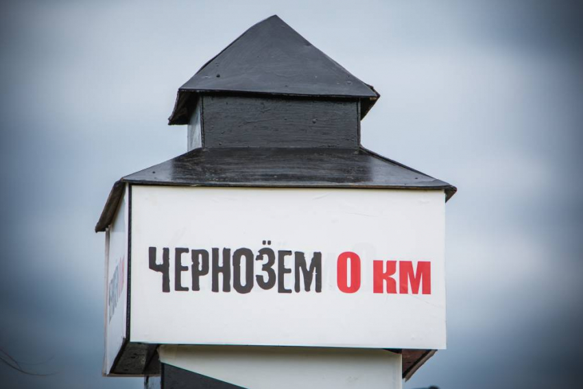 Апелляция признала запрет на проведение «Чернозёма-2020» правомерным