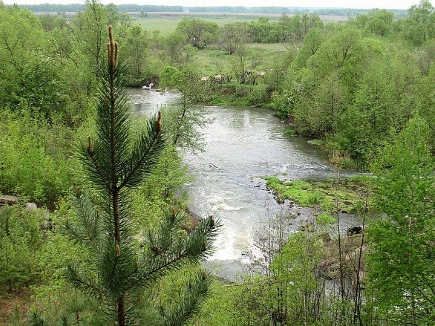 В реке под Моршанском рыбак обнаружил тело мужчины