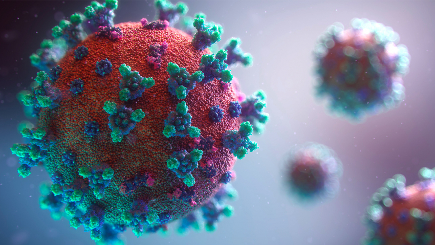 В регионе продолжает расти суточное количество случаев заражения коронавирусом