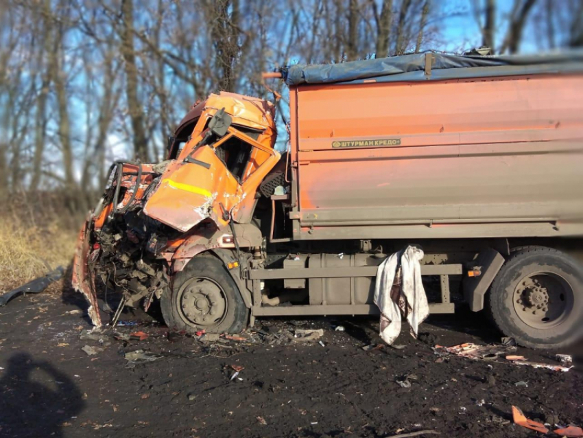 В Ржаксинском районе в поле столкнулись два «КамАЗа»