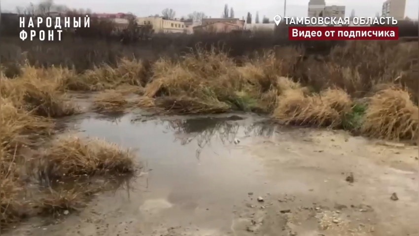 Тамбов намерен взять в собственность источник фекальных озёр на западе города 