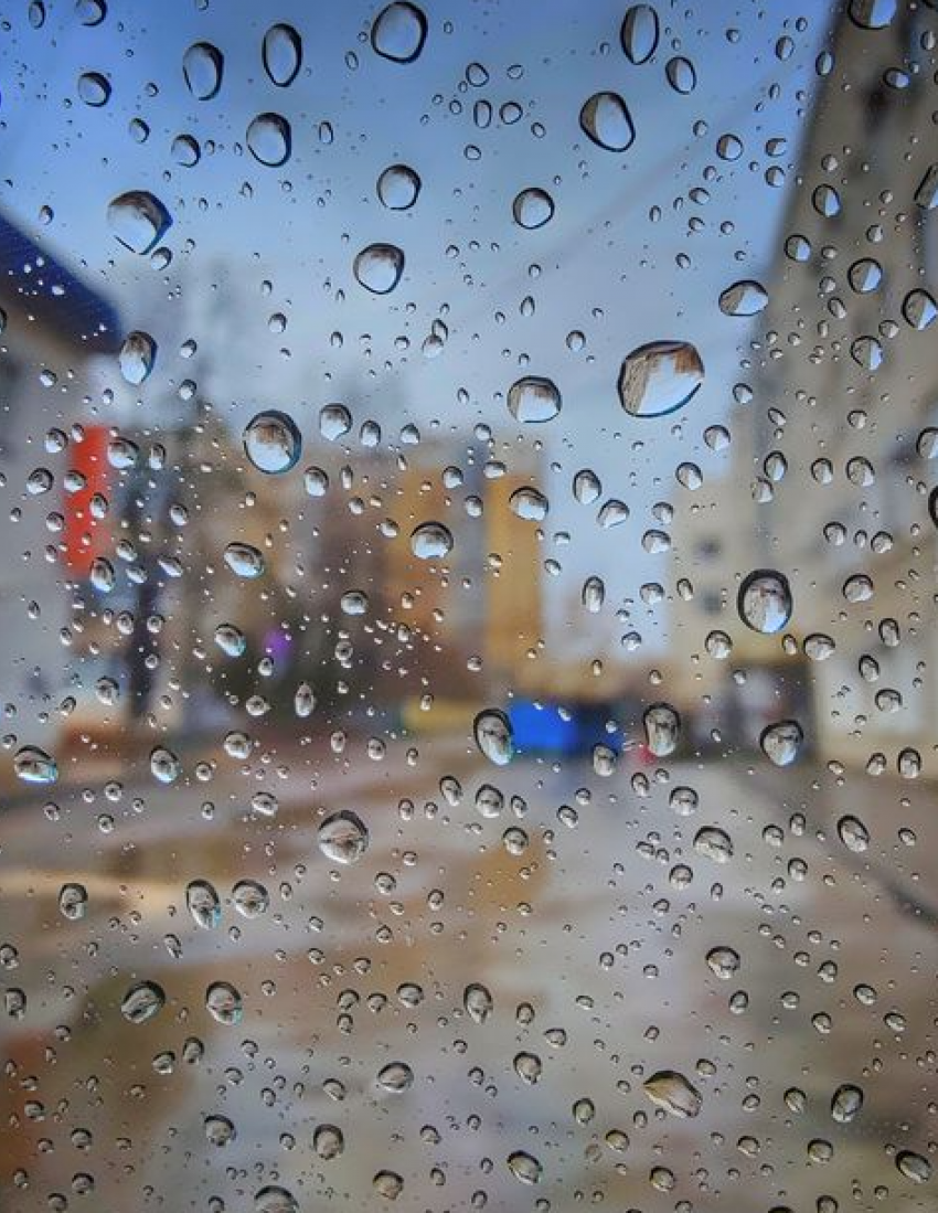 Рабочая неделя в Тамбове ожидается пасмурной и дождливой