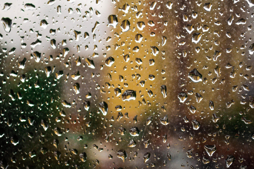 Пассажиры тамбовского автобуса №60 жалуются на дожди в салоне