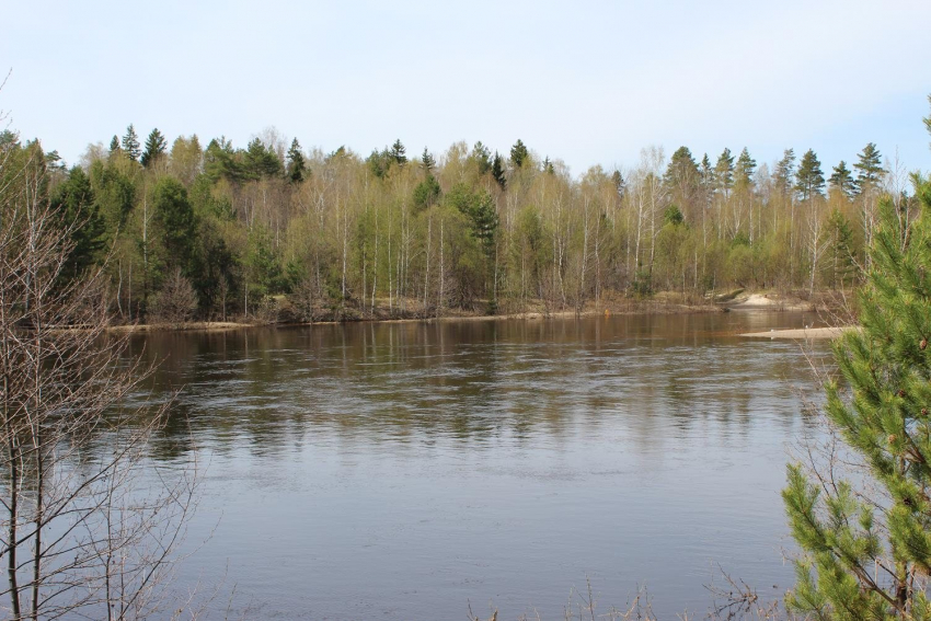 Уровень воды в реках региона пошёл на спад