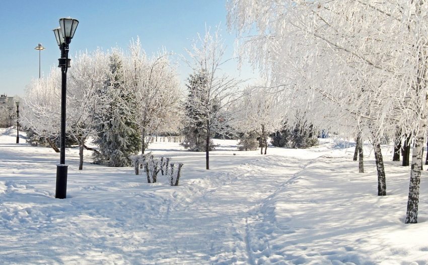 Природа обещает 31 декабря подарить тамбовчанам настоящую зимнюю сказку 