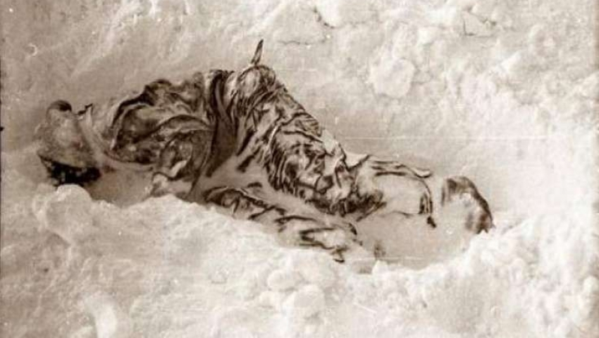 Появилась новая информация о найденной рыбаками мёртвой женщине 