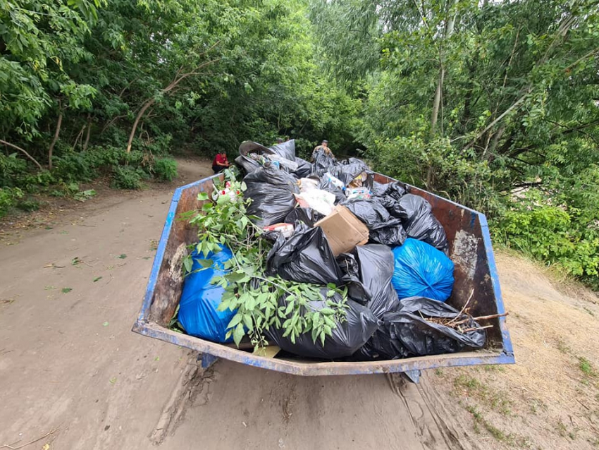 На Красненском карьере собрали более 300 мешков мусора 