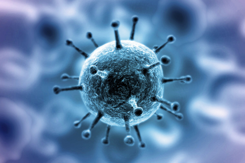 Число заболевших коронавирусом в регионе приближается к 14 тысячам