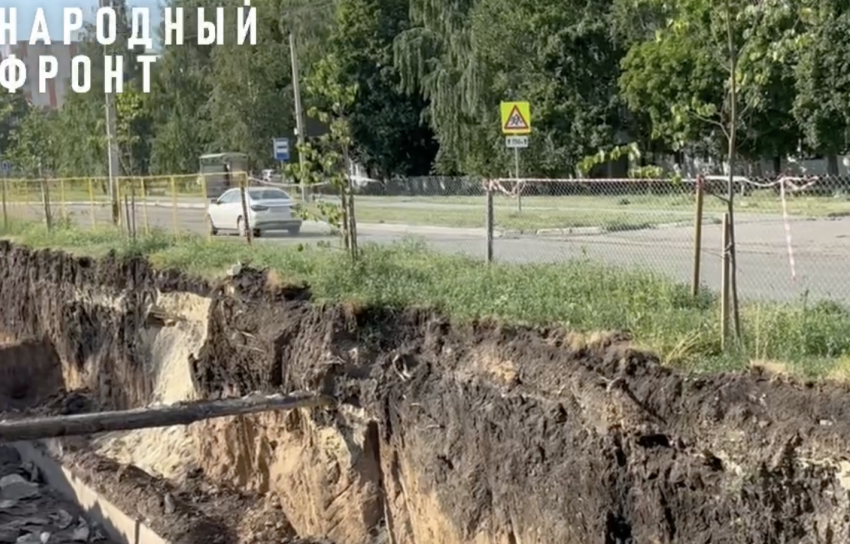 В Тамбове возник спор из-за саженцев в зоне работ ремонта теплосетей