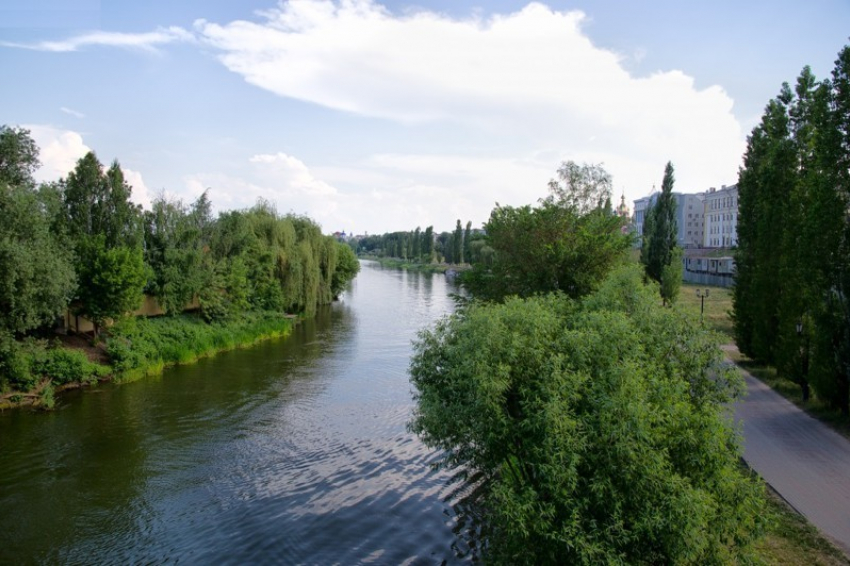 В Тамбовской области начнут очистку рек