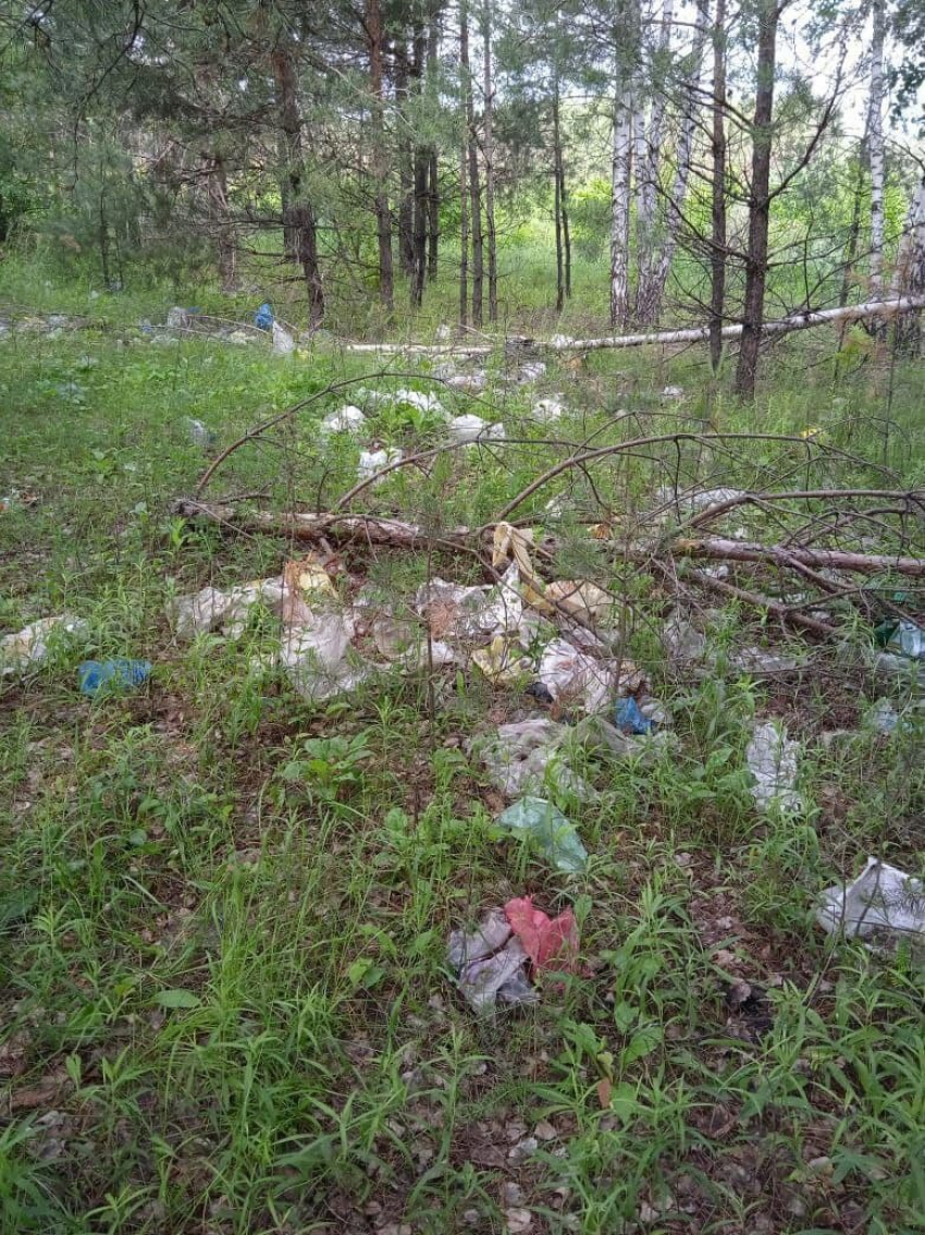 Жителей Рассказовского района заваливает мусором с местного полигона