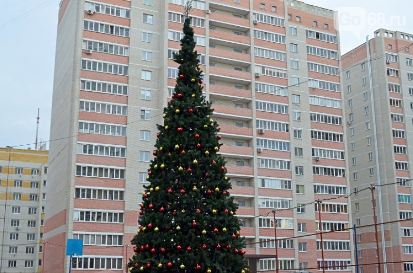 В Тамбове во дворах многоэтажек установят более 100 новогодних ёлок