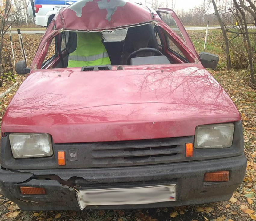 В Жердевском районе «Ока» врезалась в лося