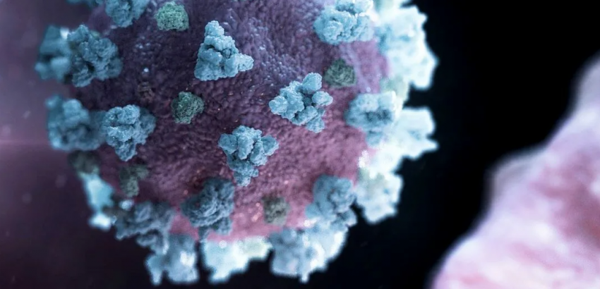 В Тамбовской области за сутки коронавирусом заболели 155 человек