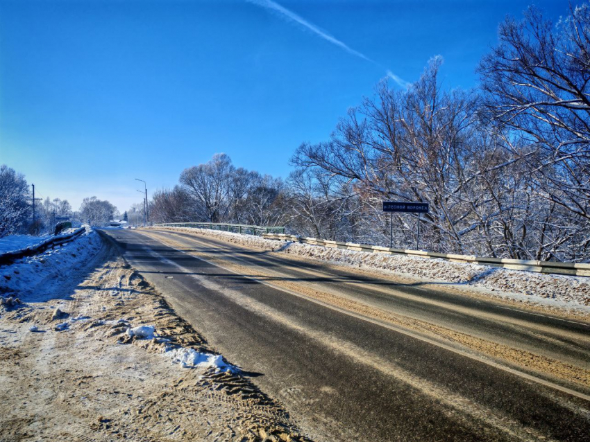 Капремонт моста через Лесной Воронеж доверили тамбовской компании «Мостострой»