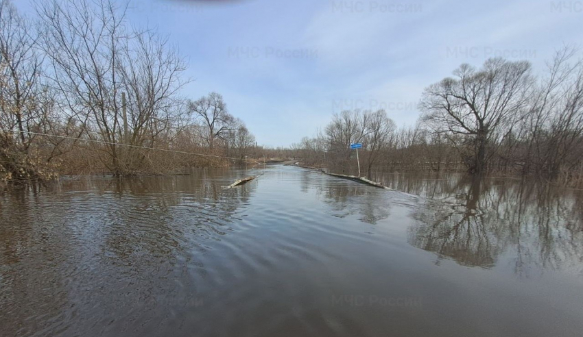 Весенний паводок затопил мост через Савалу в Жердевском округе