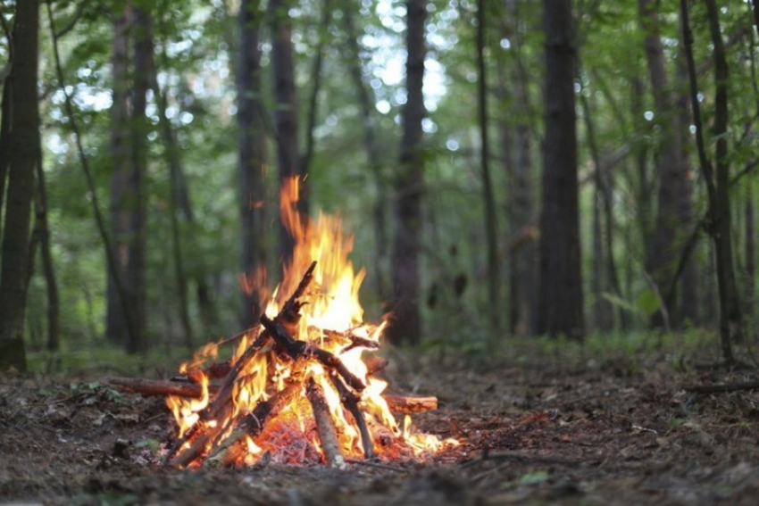 Любителей жарить шашлык в тамбовском лесу ждет штраф: в области объявлен особый противопожарный режим 