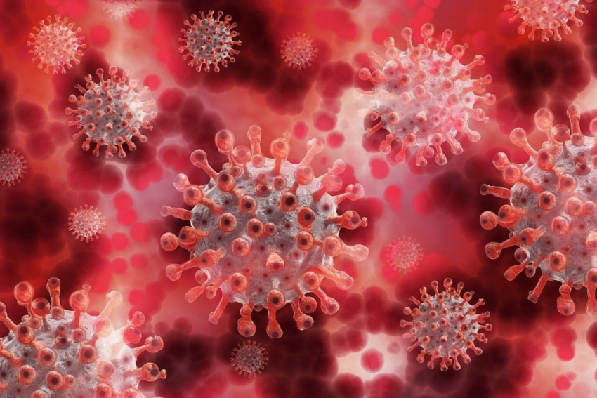 За сутки в Тамбовской области 8 детей заболели коронавирусом