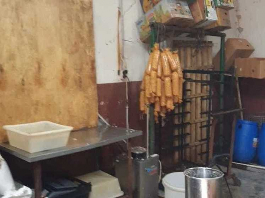 Причиной нашествия крыс на севере Тамбова стал незаконный колбасный цех в гараже